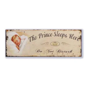 Wandbord 'The Prince sleeps here'