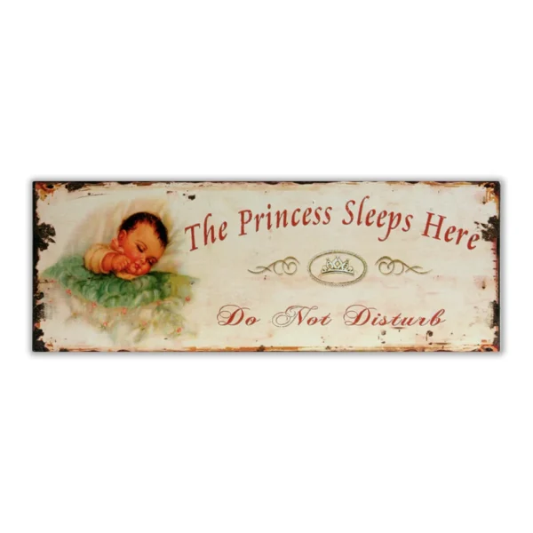 Wandbord 'The Princess sleeps here'