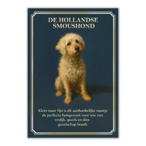 Hollandse Smoushond